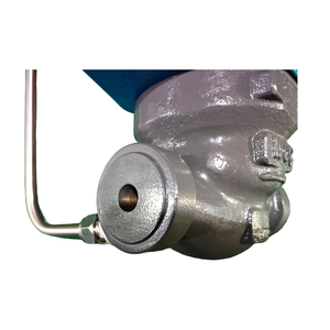 NPT1/4 <span class=keywords><strong>WCC</strong></span> 150LB PRV减压阀膜片弹簧加载调节气体和碳氢化合物平衡 - Product Image 6