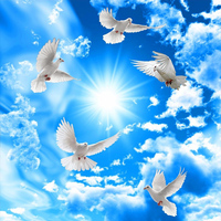 Personnalisé Grand Plafond Mural 3D Stéréo Ciel Bleu Nuages Blancs Colombe Nature Paysage Photo Plafonds Tendus pour Villa