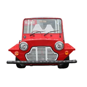 Chinese Vintage Classic Moke Car for Resort and Rental