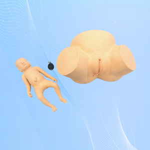 Yilian продвинутая модель обучения дистоции, симулятор акушерской помощи из ПВХ для трудных родов, демонстрационное обучение акушерству - Product Image 6