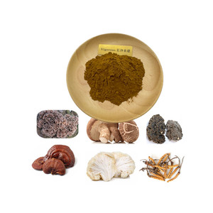 Hỗn hợp hữu cơ OEM sư tử của bờm, Reishi, đông trùng hạ thảo, maitake, Shiitake, Thổ Nhĩ Kỳ đuôi, Chaga nấm <span class=keywords><strong>Mushroom</strong></span> <span class=keywords><strong>extract</strong></span> 6 trong 1 - Product Image 1