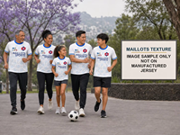 Premium Europäischer Stil Fußballtrikot-Kollektion Neuestes Design Fußballshirt Performance-Teamwear Private Label Hersteller