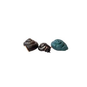 3 Styles Harry de <span class=keywords><strong>Hermione</strong></span> Escargot Jeter Pierre Prop Pierre Résine Escargot Magie Prop - Product Image 1