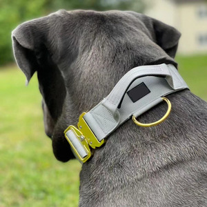 Özel toptan 2 inç ayarlanabilir köpek tasması taktik naylon yastıklı yaka büyük köpekler için lüks altın Metal toka ile - Product Image 5