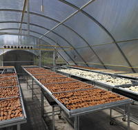 SURRI Grote Capaciteit Mango Ananas 300-500kg Zonne-aangedreven Motor Droogmachine met 1 Jaar Garantie voor Kas