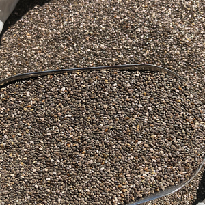 <span class=keywords><strong>Semi</strong></span> di Chia Neri Essiccati all'Ingrosso, Materia Prima, <span class=keywords><strong>Semi</strong></span> di Chia Neri Biologici - Product Image 3