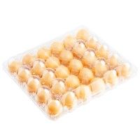 Barquettes d'emballage pour œufs en plastique transparent jetables à prix abordable, haute qualité, tailles de trous 6/10/12/20/30/30L