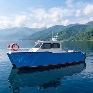 Catamarano a Doppio Scafo in Alluminio da 32,5 Piedi per 12 Persone, Imbarcazione Marina Saldata con Motore Fuoribordo per Tour su Isole, Sport e Intrattenimento - Product Image 5