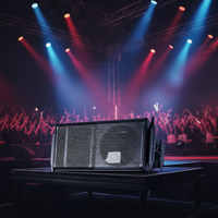 GEO1230 Enceintes Line Array Passives 12 Pouces – Système Sonore Professionnel pour Spectacles Scéniques
