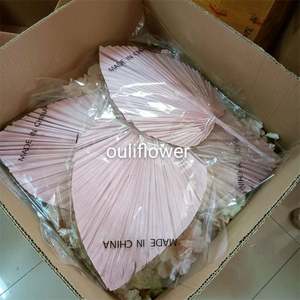 Q-1063 Feuilles de <span class=keywords><strong>palmier</strong></span> séchées naturelles, <span class=keywords><strong>éventail</strong></span> fleuri, écologique, décoration de mariage, Saint-Valentin, décoration de la maison - Product Image 5