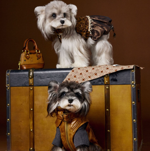 Ropa para perros Traje de invierno Schnauzer Oso de peluche Bichon Frise Moderno de lujo Ecológico Chaleco de cuero sin mangas - Product Image 5