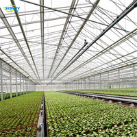 Serre en verre multi-chapelles de type Venlo pour usage commercial, verre horticole de 4 mm, système hydroponique intelligent pour fleurs