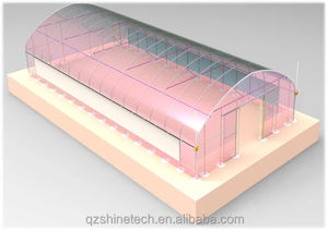 Industriële Tomaat Agrarische Kas 50X8M Enkelvoudige Overspanning Plastic Film Type Tunnel Kas Te Koop - Product Image 5
