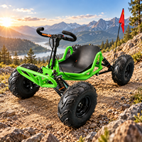 Kart à pédales à essence 63cc le plus vendu, réservoir de carburant de 1,2 L, hauteur de roulement de 26 cm, pneus de 8 pouces, charge maximale de 180 kg