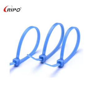 Étiquettes d'attaches de câble de haute qualité, échantillons gratuits disponibles-Attaches d'étiquettes en plastique et attaches de câble en plastique - Product Image 6