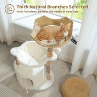 Arbre à chat moderne de luxe à 4 niveaux, durable et écologique, avec grand panier en osier, condo spacieux, hamac profond, maison pour chats en bois naturel