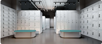 Armoire de rangement métallique multi-compartiments, casier personnel pour école, usine, salle de sport, KD, emballage plat