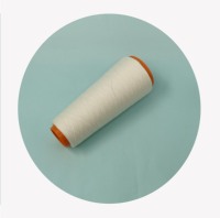 Fil de lin 100% couleur naturelle pour le tissage