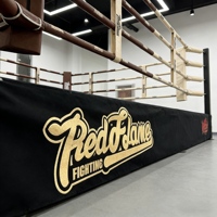 Anneau de lutte professionnel en acier durable, personnalisé avec logo OEM/ODM, pour équipement de kick-boxing AEW NJPW G1 UWW