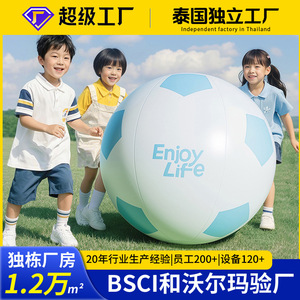 Circle Odd <b>Inflatable</b> Soccer Ball 20cm For Kids Infants Toddlers Playtime Fun - Product Image 5