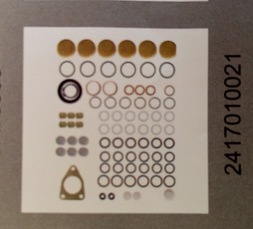 diesel fuel pump parts 2417010021 repair kits 800718 diesel engine