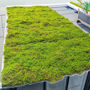 Artificial Moss Tapete para Jardim Moos Turf Plantas de alta qualidade musgo interior preservado restaurante ao vivo - Product Image 2