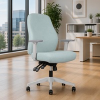 Chaise de bureau en maille durable à rapport qualité-prix élevé, avec fonctions de base, idéale pour les bureaux à petit budget