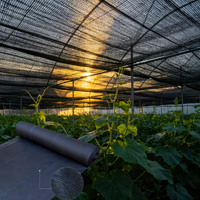 Groene HDPE warp gebreide, heavy-duty, UV-bestendige, kosteneffectieve zonwerend net voor groentekassen