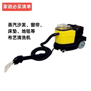 Lipai Steam Cleaner LP-3 2300W Electric Upholstery Carpet Sofa Mattress Cleaning Machine - Product Image 1