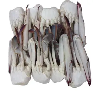 Frozen <strong>Red</strong> <strong>Snow</strong> <strong>Crab</strong> Leg - Product Image 1