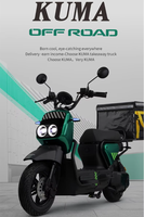 Vélo électrique Paige OEM/ODM 48V 1000W 20Ah à assistance au pédalage, moteur sans balais, longue autonomie, pour adultes, usage urbain, nouveau