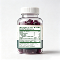Bonbons Gommeux Biotiques 3-en-1 Marque Blanche OEM avec Probiotiques, Prébiotiques et Vitamine C pour le Soutien de la Santé Intestinale et Immunitaire – 60 Unités