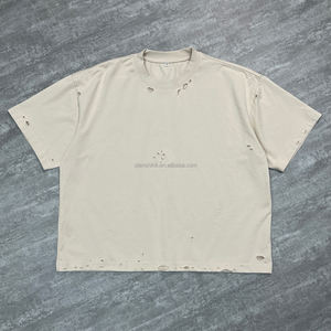 T-shirt surdimensionné streetwear unisexe de printemps personnalisé de haute qualité chemise en coton poids lourd Boxy t-shirt vierge pour hommes - Product Image 1