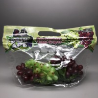 Druivenbeschermingszakken voor de landbouw, vers fruit opslag, transport, verpakking, staande pouch, ritssluiting, ventilatie, ademend