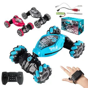Kids Hobby 4x4 Cars Radio Remote Control Toys Rc Stunt Car hand Controlled Gesture Electric Brushless Twisting Rc Drifting Car
