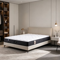 Matelas orthopédique résistant à l'usure, respectueux de la peau, anti-acariens, respirant, silencieux et confortable pour les locations.