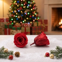 Vente Flash : Têtes de Roses Éternelles Naturelles Effet Réel (2-3cm) – Boîte de 21 Pièces – Idéales pour la Fête des Mères, la Saint-Valentin et les Décorations de Noël – Direct Usine