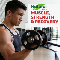 Permen Creatine Monohydrate Label Pribadi 4 Permen Per Porsi dengan AstraGin untuk Dukungan Otot Dewasa Pabrik Bersertifikat GMP
