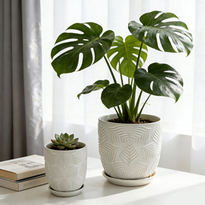 Pot de <span class=keywords><strong>fleurs</strong></span> cylindrique blanc moderne minimaliste de <span class=keywords><strong>grande</strong></span> <span class=keywords><strong>taille</strong></span> avec plateau pour plantation intérieure et extérieure, directement de l'usine chinoise - Product Image 3