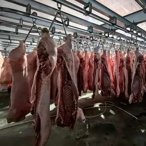 อุปกรณ์สำหรับฆ่าหมูและโรงฆ่าสัตว์แบบครบวงจรสำหรับโรงงานแปรรูปเนื้อสัตว์และ abattoirs - Product Image 2