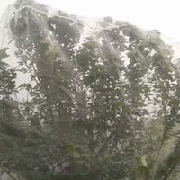 Gestabiliseerd Anti-Hagelvogelnet Plastic Bescherm Gaas Vorsthagel Rond Mesh Netto Vruchtnet Bescherming