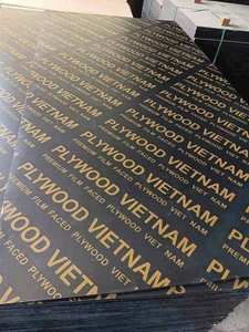 Contrachapado de 18 mm con revestimiento de película para construcción, para almacenes y hoteles, contrachapado reutilizable de alta calidad con revestimiento de película, procedente de Vietnam. - Product Image 5