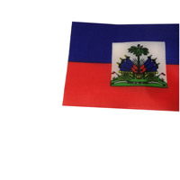 Drapeau d'Haïti avec logo personnalisé, imprimé recto-verso, en tissu polyester, drapeau à main pour la fête nationale