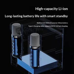 YS-203 Haut-parleur sans fil pour téléviseur, téléphone portable, karaoké, audio 5.3, batterie 2000-4000mAh, microphone sans fil, ensemble karaoké - Product Image 3