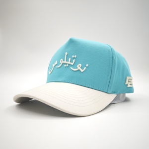 Gorras de Béisbol Casuales de Algodón Oxford Dobby Dot de Dos Tonos con Logotipo Personalizado, Unisex, 5 Paneles, Ajustables - Product Image 6