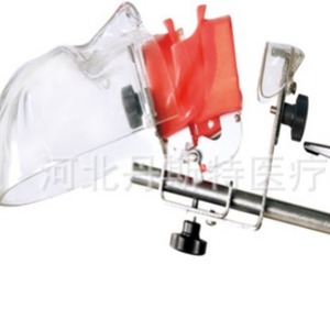 Modelo dental Dt M1003, modelo didáctico para educación dental, operación manual - Product Image 1