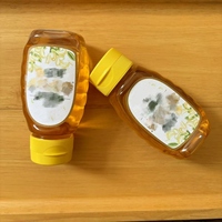 2.5/2oz buah kecil Jam pemeras 100G plastik Mini madu botol kosong Remas madu Bee botol kemasan wadah kecil