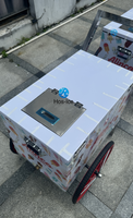Chariot à glaces mobile personnalisé imprimé, glacière isotherme portable en acier inoxydable pour stand de rue