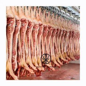 전문 제조 이중 레일 돼지 도살장 장비 시체 컨베이어 기계 돼지 고기 도살 생산 라인