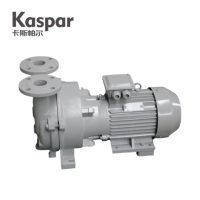 Bomba de Vacío de Anillo Líquido 2BVA5121, Capacidad de Bombeo de 4.66m³/min, Sistema de Vacío Industrial de 7.5kW